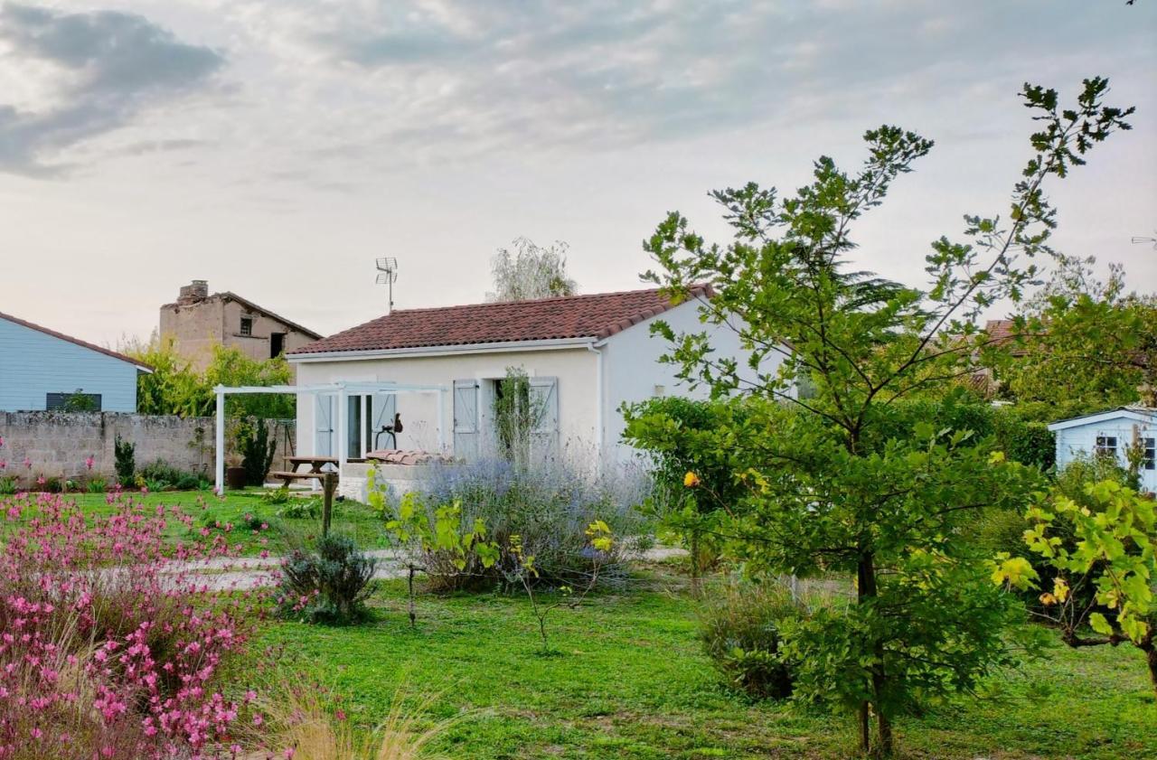 Gite Le Cherche Midi Gaillac Εξωτερικό φωτογραφία
